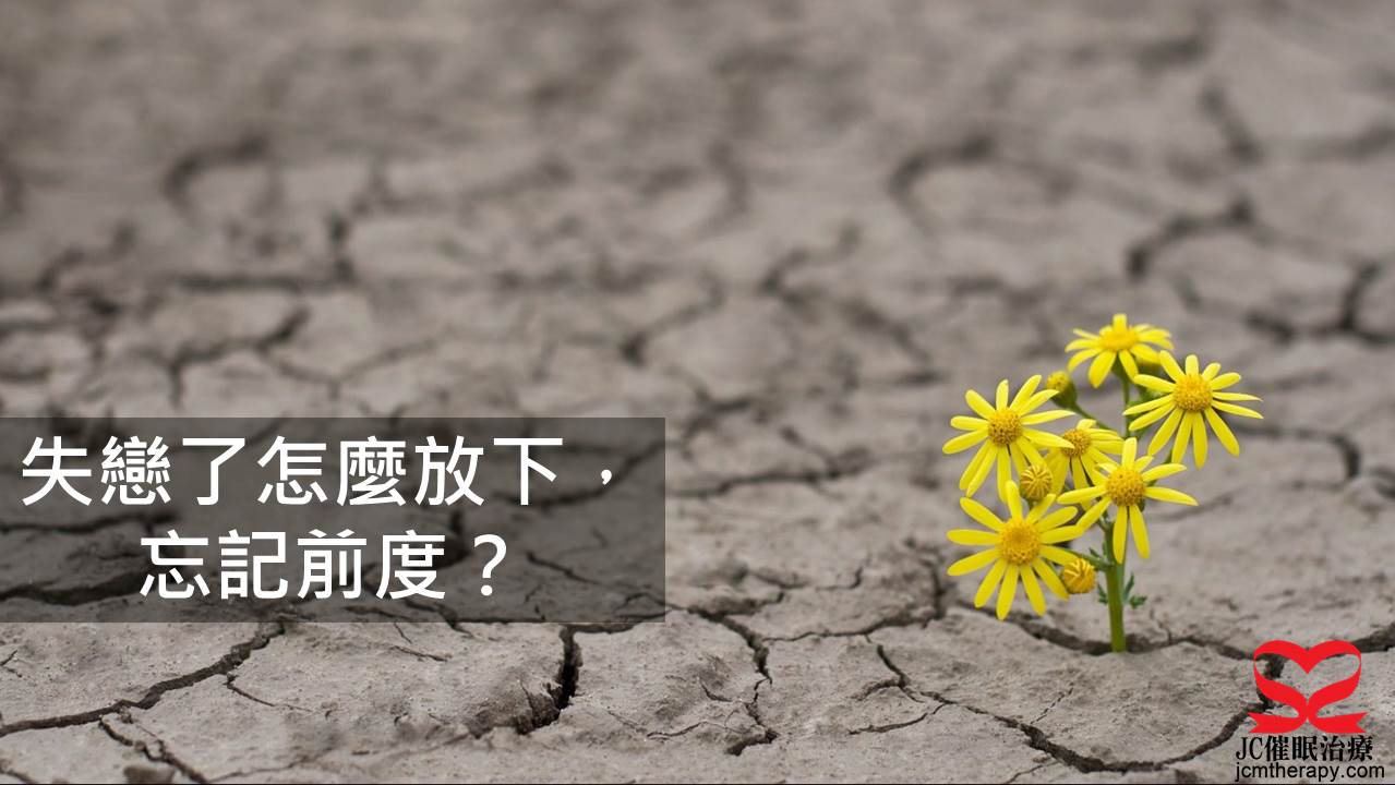 失戀,忘記前度